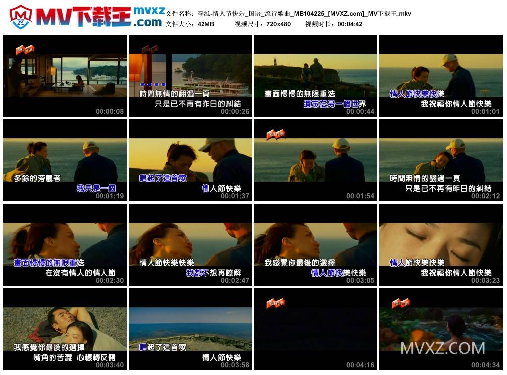 李维-情人节快乐_国语_流行歌曲_MB104225